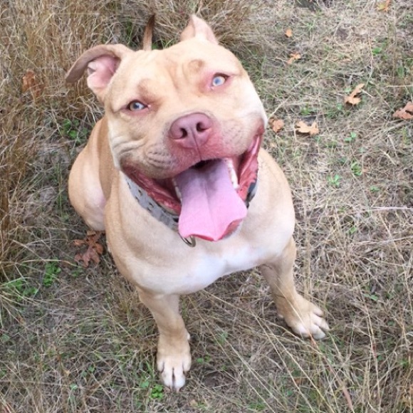 Meet your Posher, Dana - Picture 1 of 1